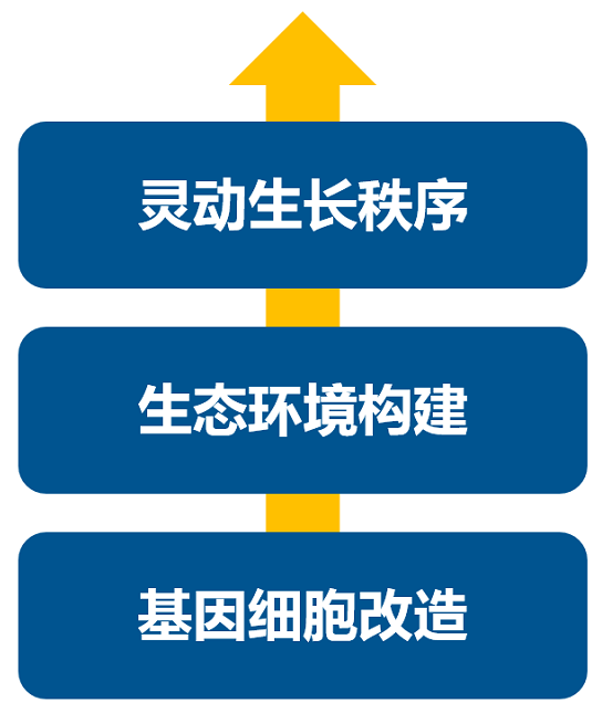 消費升級大時代，品牌如何進行戰略升級？