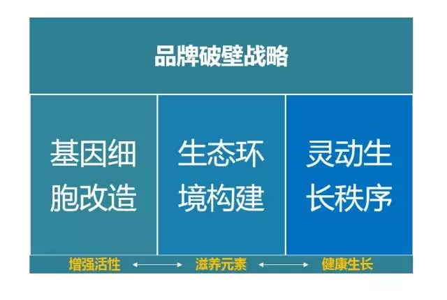 品牌升級必看的四大策略！