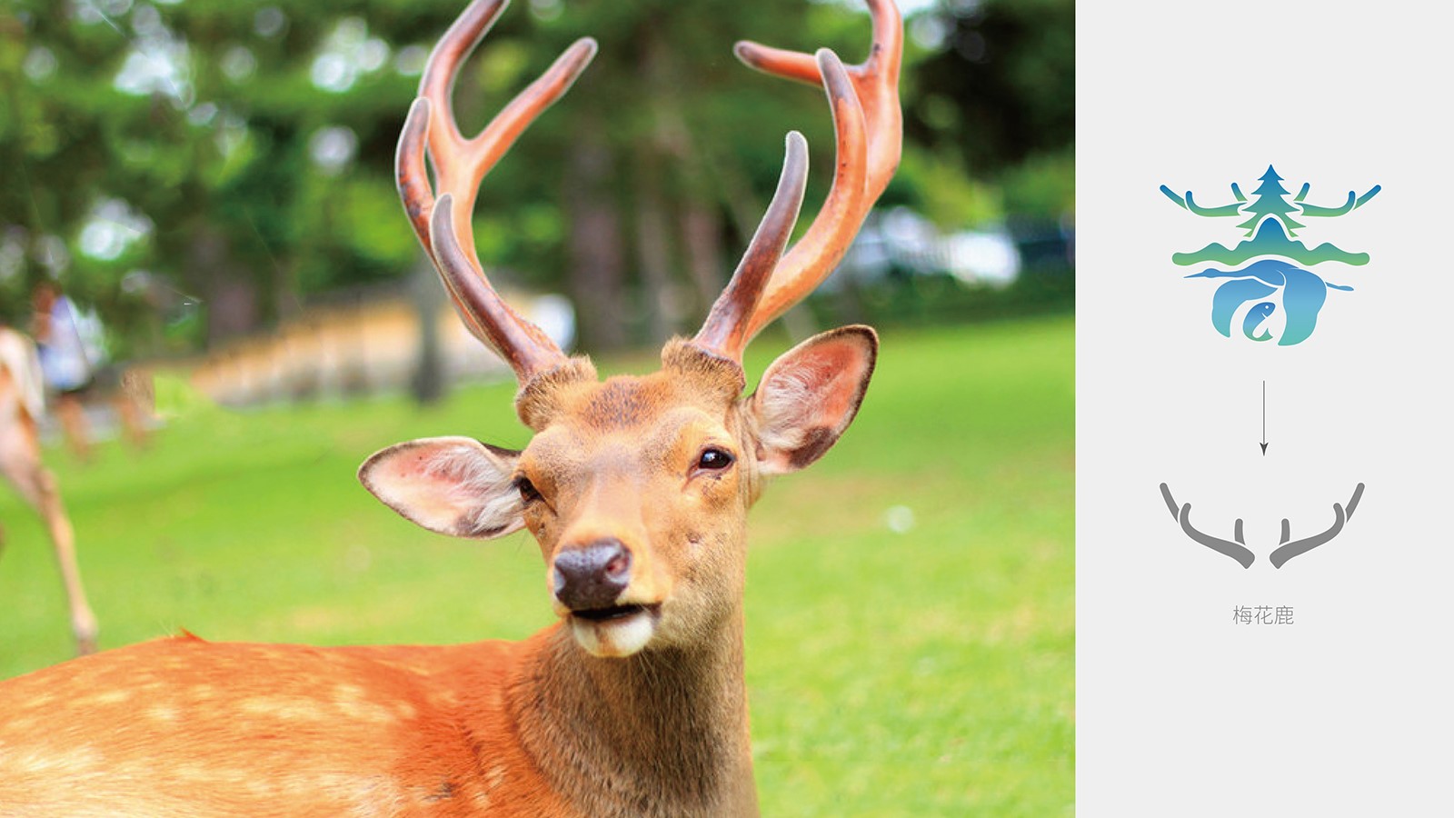 企業整套vi設計價格值不值？