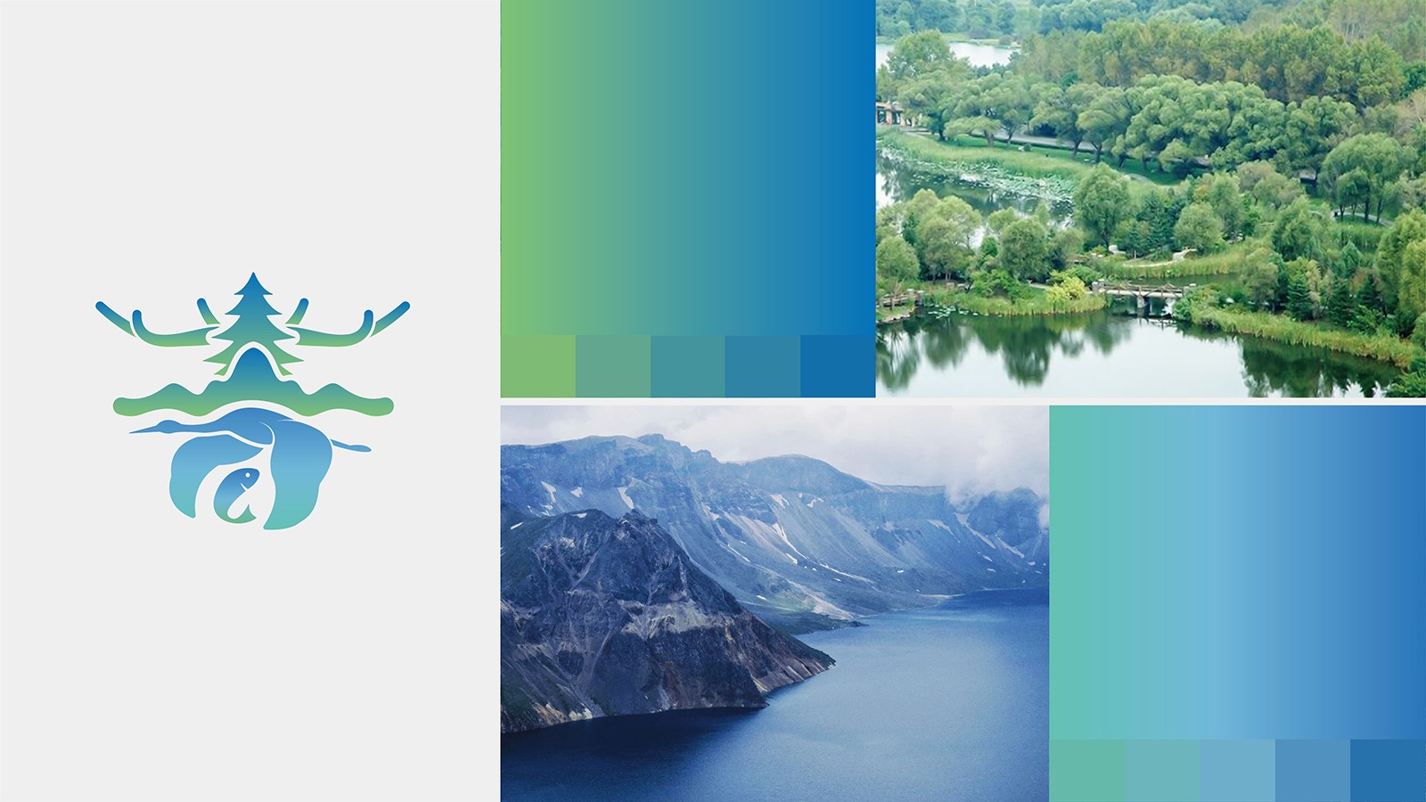 高昂的公司vi設計報價我們應該去堅持嗎？