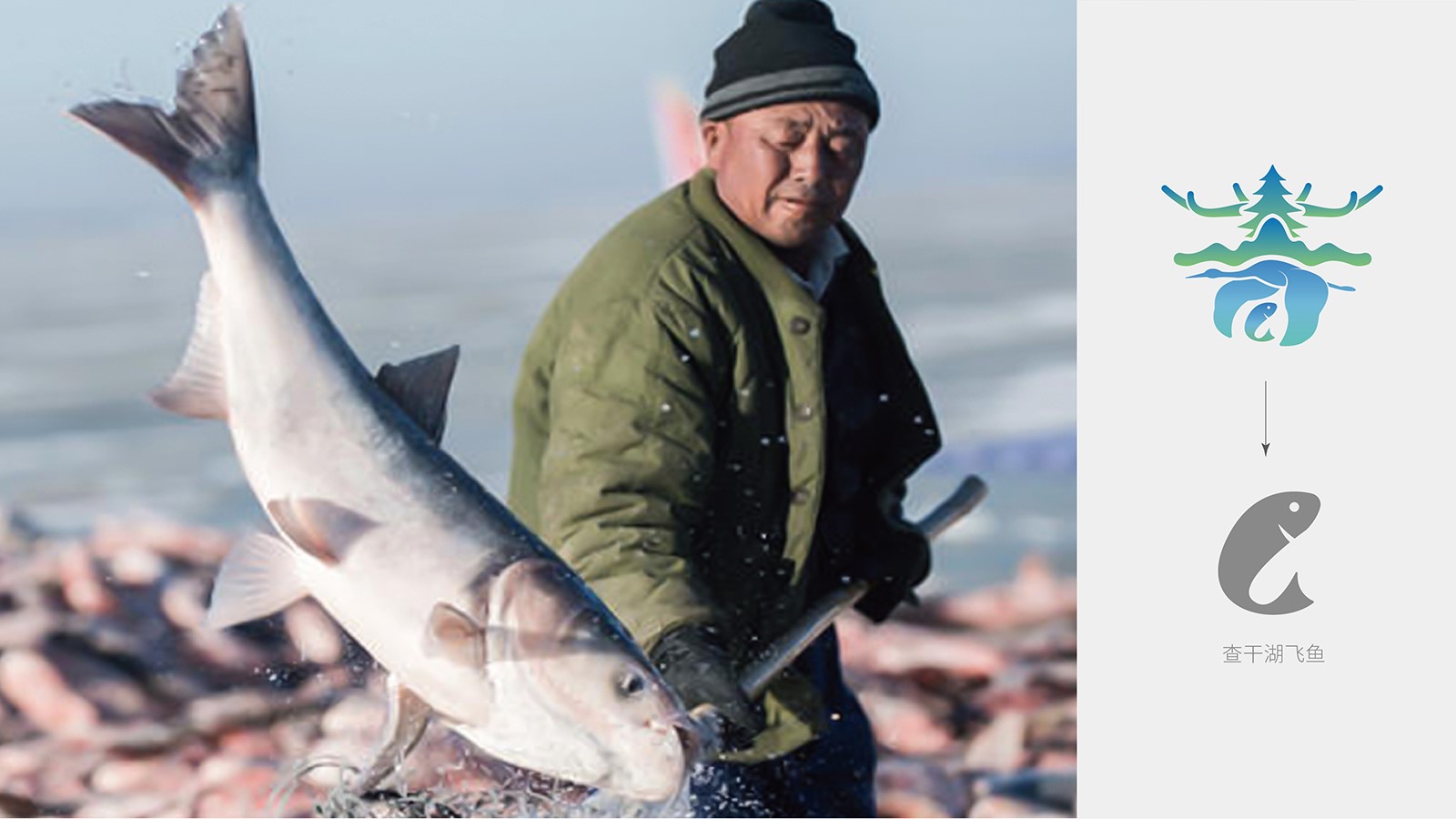 vi設計杭州有多少家設計公司？