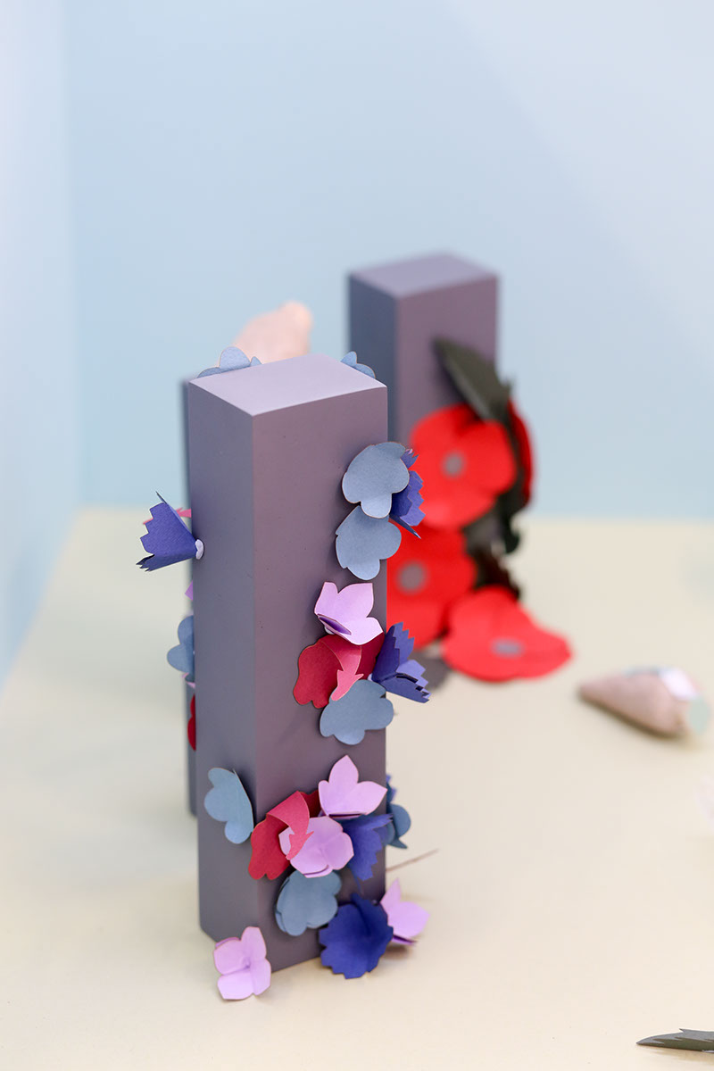 草甸種子創意包裝設計