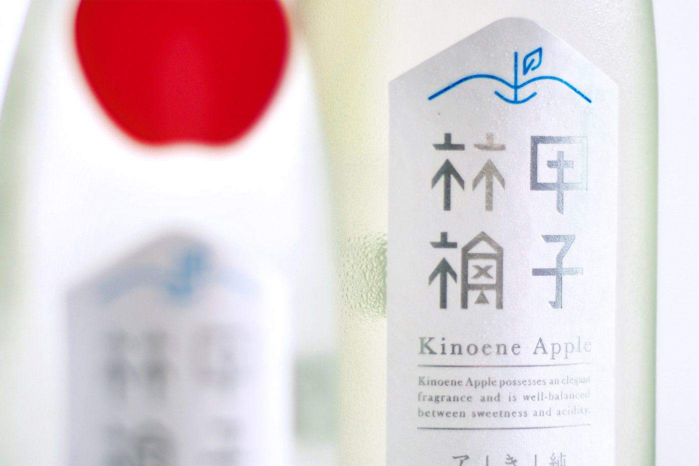 日本蘋果醋酒創意包裝設計