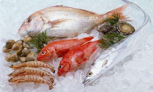 新鮮餐飲食材，冷凍海鮮食品包裝設計