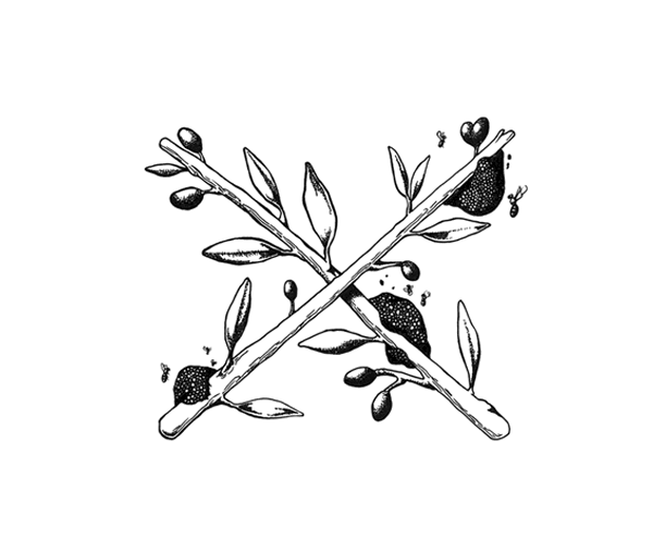 Helleo天然肥皂系列品牌包裝設計，六個肥皂，六個故事