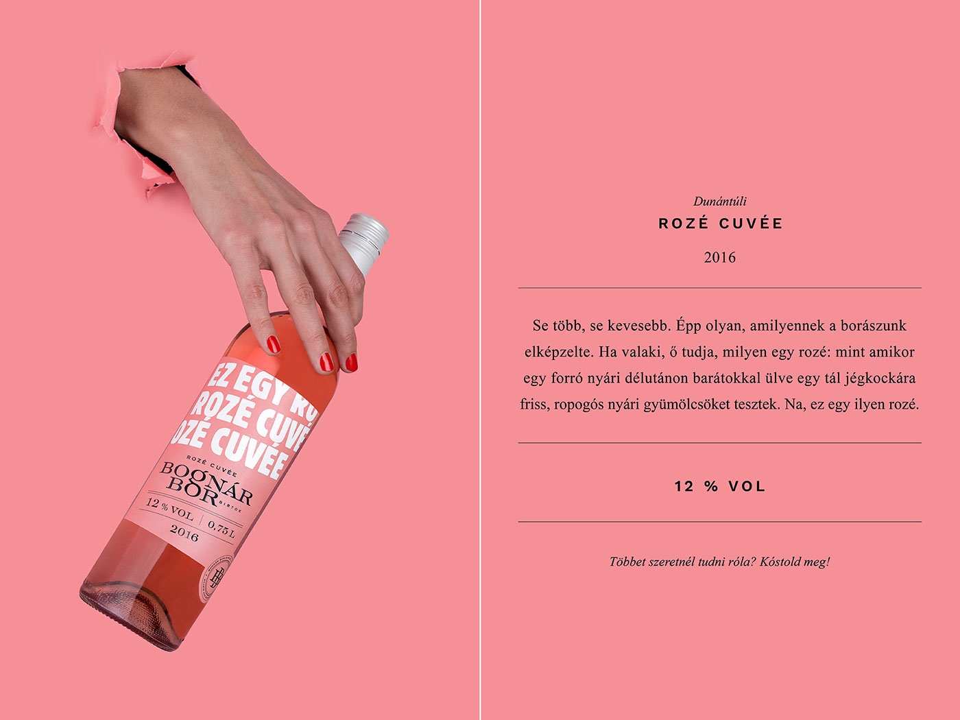 Bognar家族的年輕葡萄酒包裝設計，我們只需要更年輕