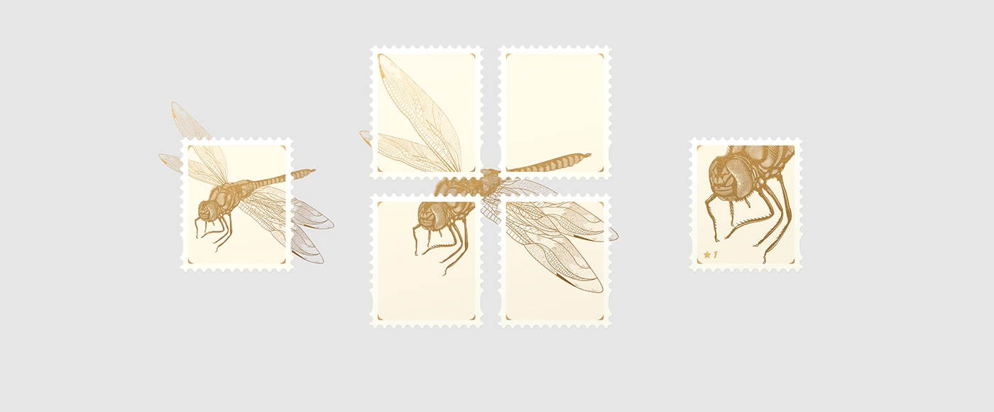 大自然的奇跡，蜻蜓主題的咖啡品牌包裝設計