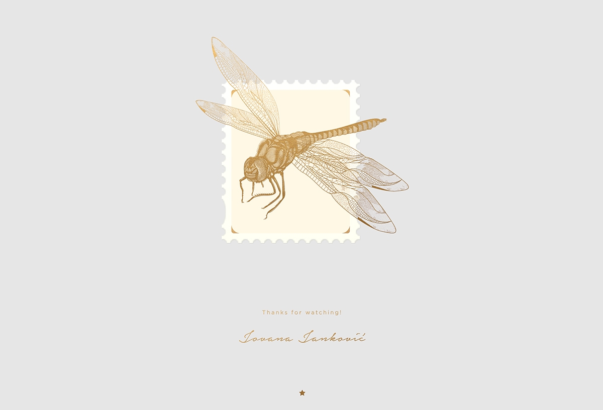 大自然的奇跡，蜻蜓主題的咖啡品牌包裝設計