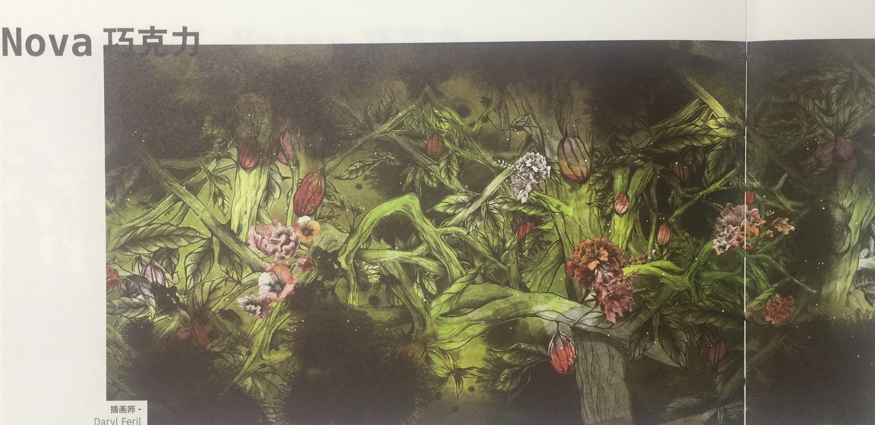 天然、綠色的休閑食品巧克力包裝設計