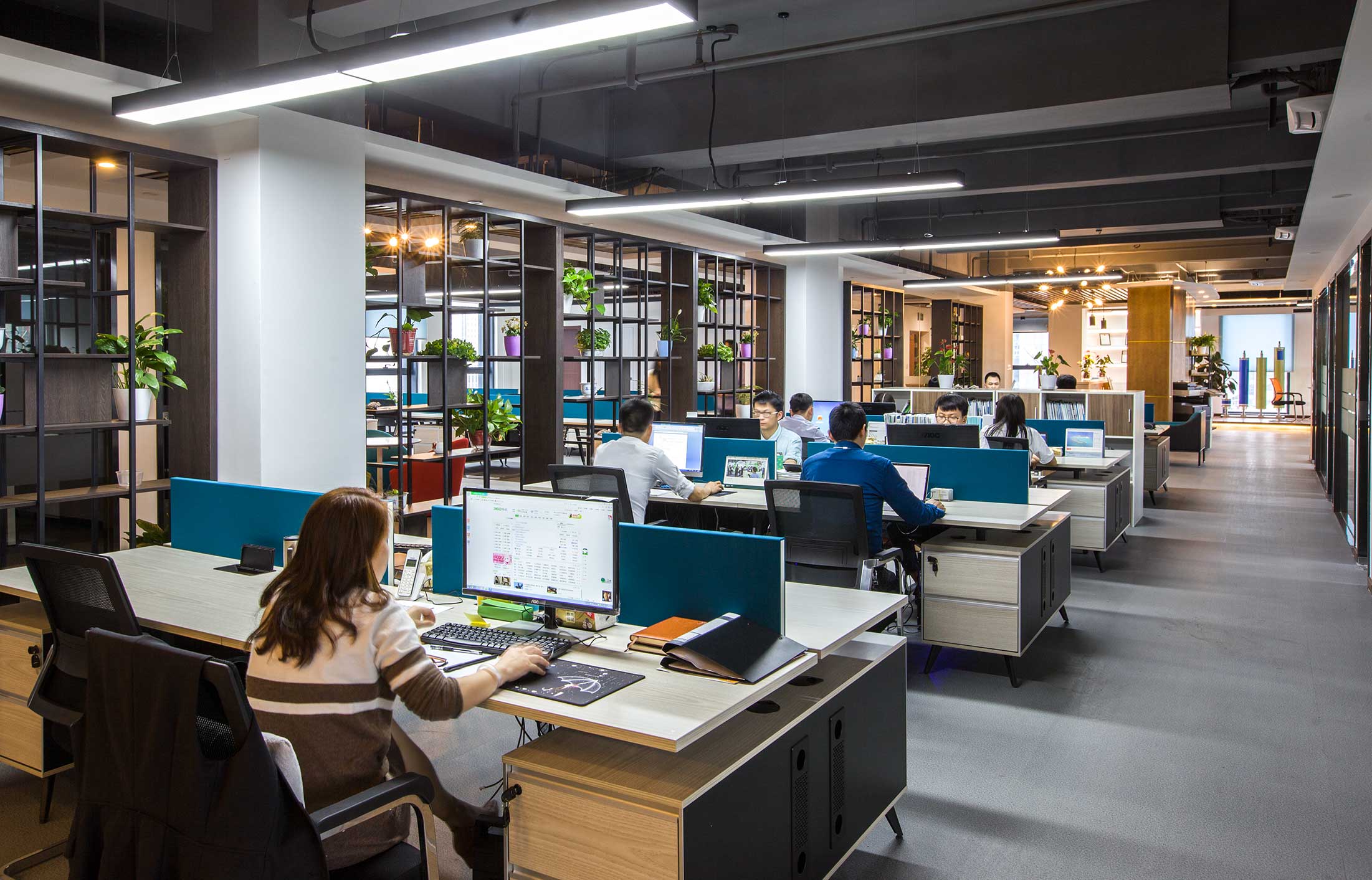 碟濾膜品牌全案設計